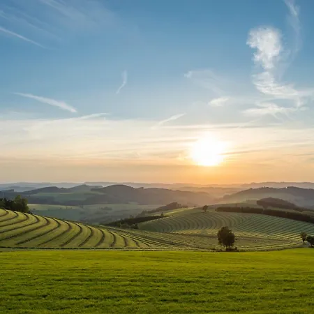 & Hubertushoehe - Ihr Fuer Urlaub Mit Hund 酒店 施马伦贝格