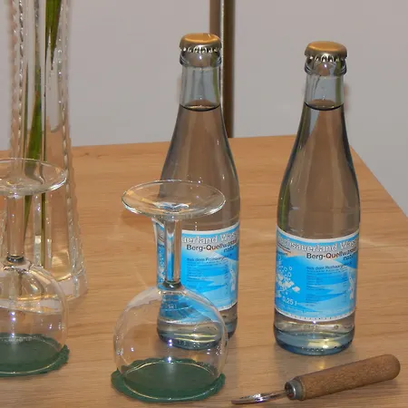 & Hubertushoehe - Ihr Fuer Urlaub Mit Hund 3* 施马伦贝格