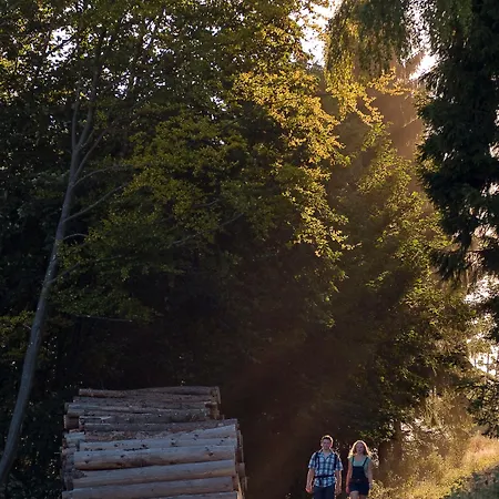 酒店 & Hubertushoehe - Ihr Fuer Urlaub Mit Hund 施马伦贝格