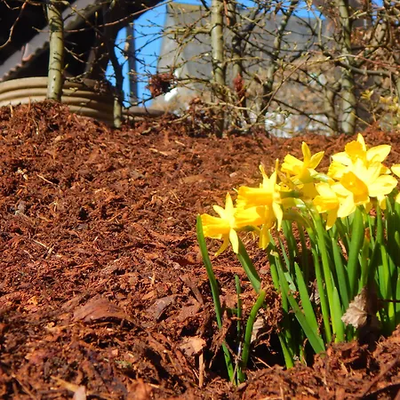 & Hubertushoehe - Ihr Fuer Urlaub Mit Hund 酒店