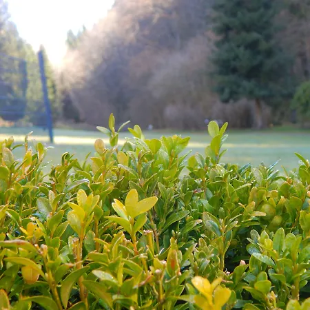 & Hubertushoehe - Ihr Fuer Urlaub Mit Hund 酒店 3*