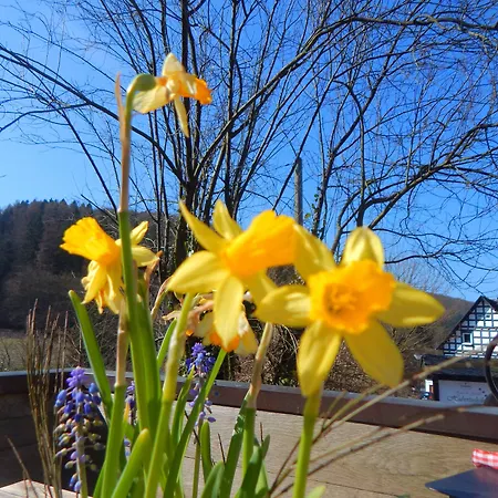 & Hubertushoehe - Ihr Fuer Urlaub Mit Hund 3* 施马伦贝格