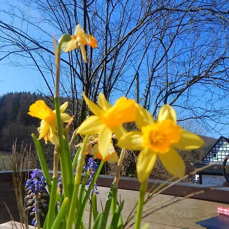 Hotel&gasthof Hubertushöhe - Ihr Für Urlaub Mit Hund