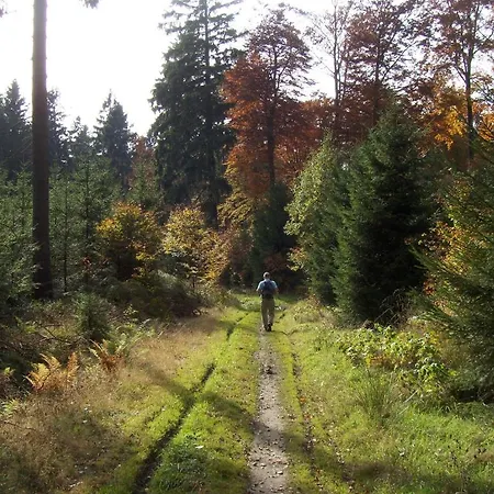 Szálloda & Hubertushoehe - Ihr Fuer Urlaub Mit Hund Schmallenberg