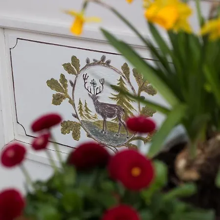 Hotel&gasthof Hubertushöhe - Ihr Für Urlaub Mit Hund Hotel