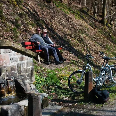 酒店 & Hubertushoehe - Ihr Fuer Urlaub Mit Hund 施马伦贝格