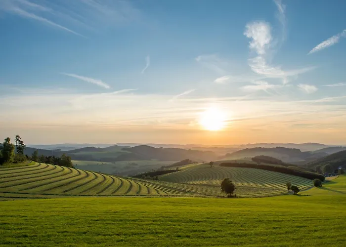 & Hubertushoehe - Ihr Fuer Urlaub Mit Hund Hotel Schmallenberg