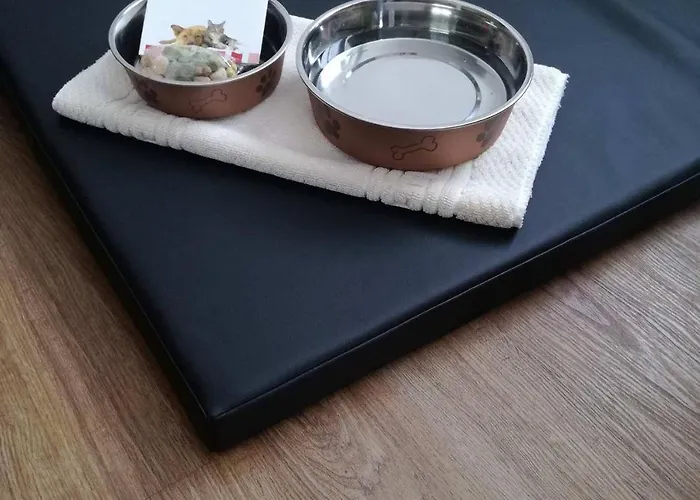 & Hubertushoehe - Ihr Fuer Urlaub Mit Hund 3*