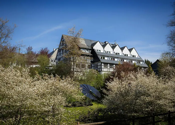 & Hubertushoehe - Ihr Fuer Urlaub Mit Hund Hotel Schmallenberg