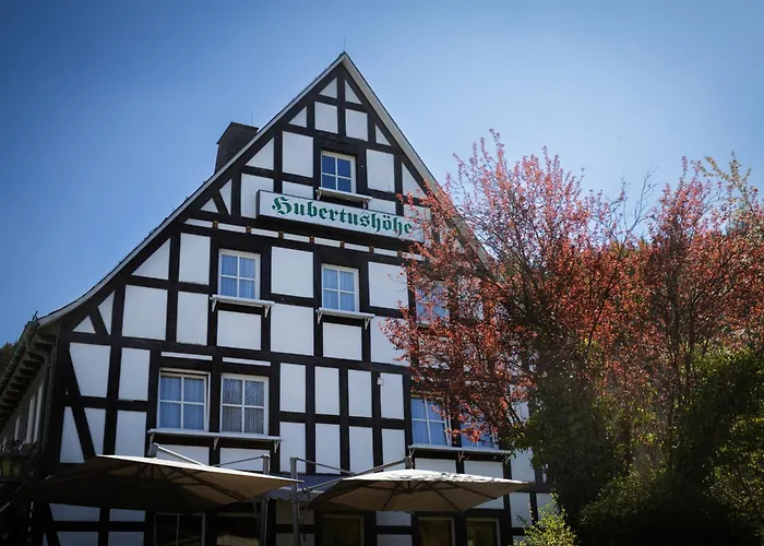 Hotel & Hubertushoehe - Ihr Fuer Urlaub Mit Hund Schmallenberg