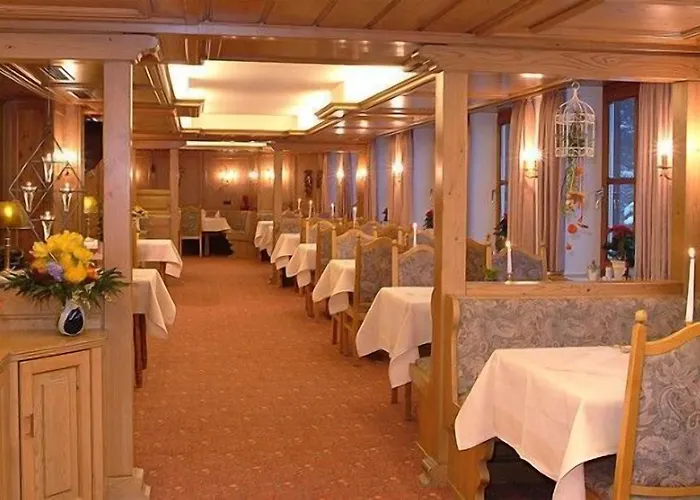 Hotel & Hubertushoehe - Ihr Fuer Urlaub Mit Hund Schmallenberg