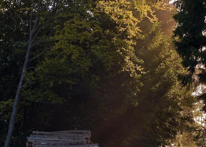 Hotel & Hubertushoehe - Ihr Fuer Urlaub Mit Hund Schmallenberg