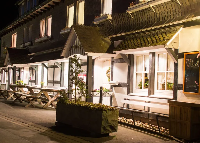 Hotel & Hubertushoehe - Ihr Fuer Urlaub Mit Hund 3*