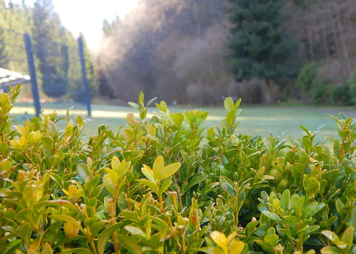 & Hubertushoehe - Ihr Fuer Urlaub Mit Hund Hotel 3*