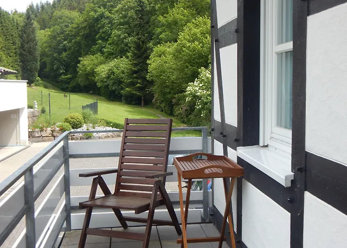 & Hubertushoehe - Ihr Fuer Urlaub Mit Hund 3* Schmallenberg