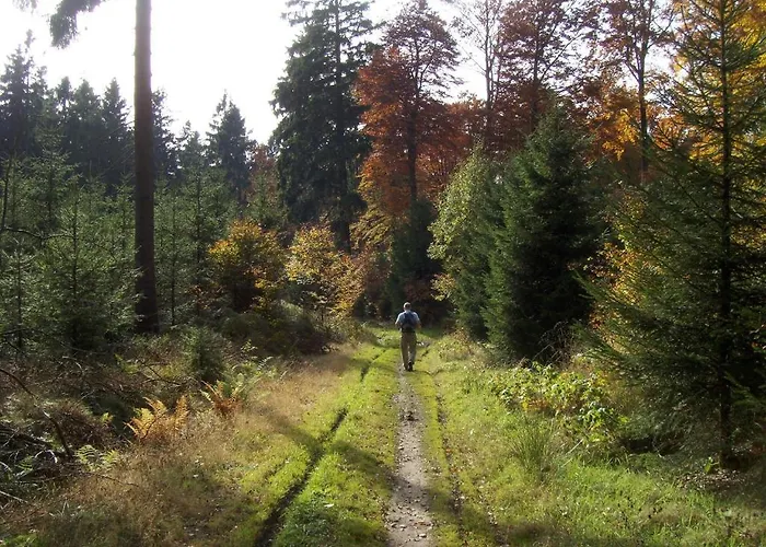 Hotel & Hubertushoehe - Ihr Fuer Urlaub Mit Hund Schmallenberg
