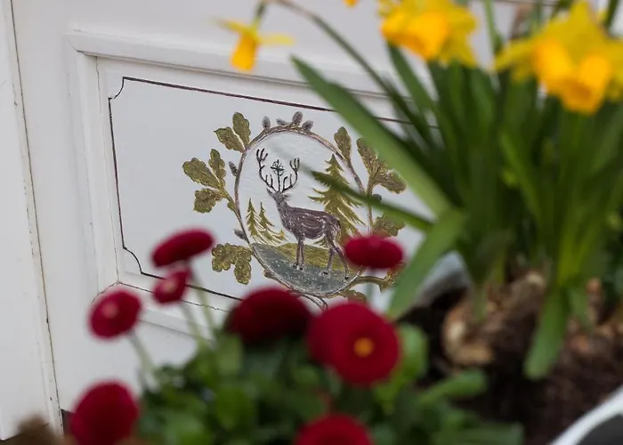 & Hubertushoehe - Ihr Fuer Urlaub Mit Hund Hotel