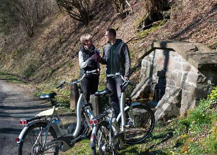 Hotel & Hubertushoehe - Ihr Fuer Urlaub Mit Hund Schmallenberg