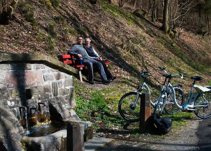 Hotel & Hubertushoehe - Ihr Fuer Urlaub Mit Hund Schmallenberg
